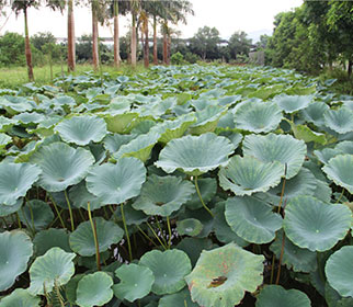 企業(yè)相冊(cè)